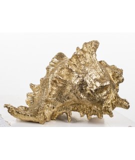 Ozdoba Muszla Ozdoba Muszla