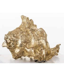 Ozdoba Muszla Ozdoba Muszla