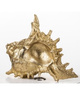 Ozdoba Muszla Ozdoba Muszla