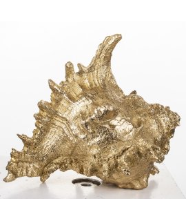 Ozdoba Muszla Ozdoba Muszla