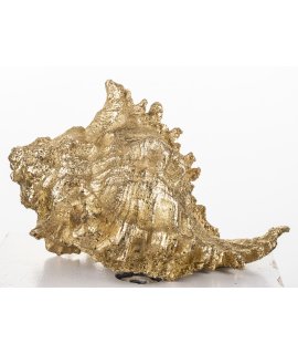 Ozdoba Muszla Ozdoba Muszla