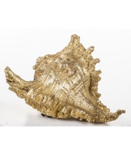 Ozdoba Muszla Ozdoba Muszla