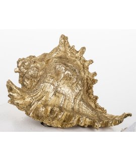 Ozdoba Muszla Ozdoba Muszla