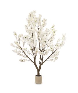 Drzewko Dekoracyjne Drzewko Dekoracyjne