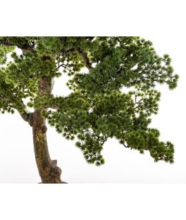 Sztuczne Drzewko Bonsai Sztuczne Drzewko Bonsai