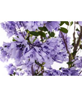 Drzewko Dekoracyjne Drzewko Dekoracyjne