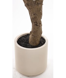 Drzewko Dekoracyjne Drzewko Dekoracyjne