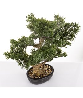 Sztuczne Drzewko Bonsai Sztuczne Drzewko Bonsai