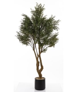 Sztuczne Drzewko Cedrowe Sztuczne Drzewko Cedrowe