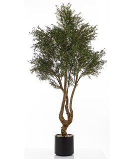 Sztuczne Drzewko Cedrowe Sztuczne Drzewko Cedrowe