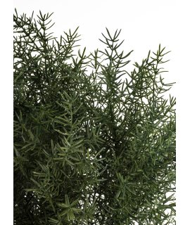 Sztuczne Drzewko Cedrowe Sztuczne Drzewko Cedrowe