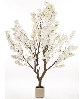 Drzewko Dekoracyjne Drzewko Dekoracyjne