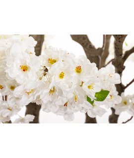 Drzewko Dekoracyjne Drzewko Dekoracyjne