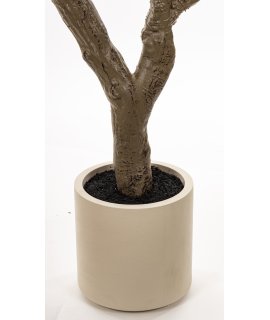 Drzewko Dekoracyjne Drzewko Dekoracyjne