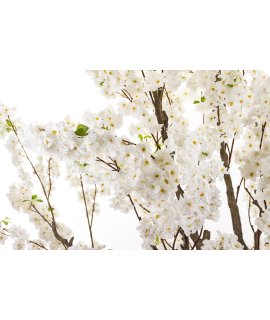 Drzewko Dekoracyjne Drzewko Dekoracyjne