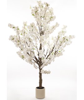 Drzewko Dekoracyjne Drzewko Dekoracyjne