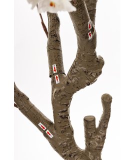 Drzewko Dekoracyjne Drzewko Dekoracyjne