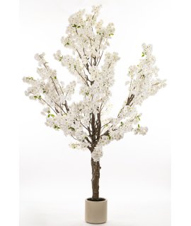 Drzewko Dekoracyjne Drzewko Dekoracyjne