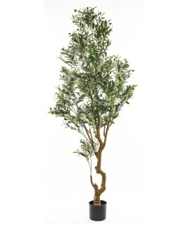 Sztuczne Drzewko Oliwne Sztuczne Drzewko Oliwne