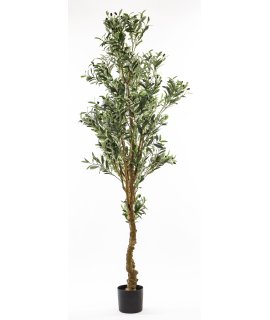 Sztuczne Drzewko Oliwne Sztuczne Drzewko Oliwne