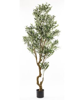 Sztuczne Drzewko Oliwne Sztuczne Drzewko Oliwne