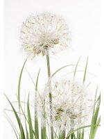 Roślina Dekoracyjna Led