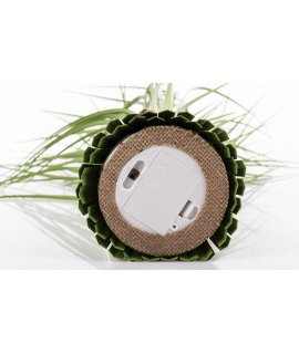 Roślina Dekoracyjna Led