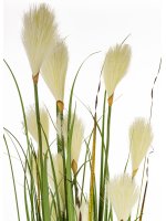 Roślina Dekoracyjna Led