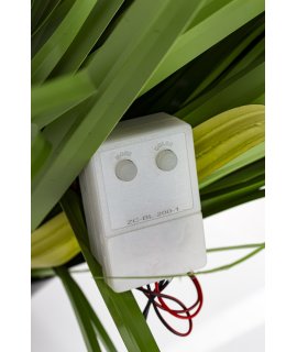 Roślina Dekoracyjna Led