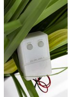 Roślina Dekoracyjna Led