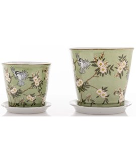 Osłonka Z Podstawką