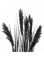 Roślina Dekoracyjna