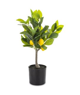 Sztuczne Drzewko Cytrusowe
