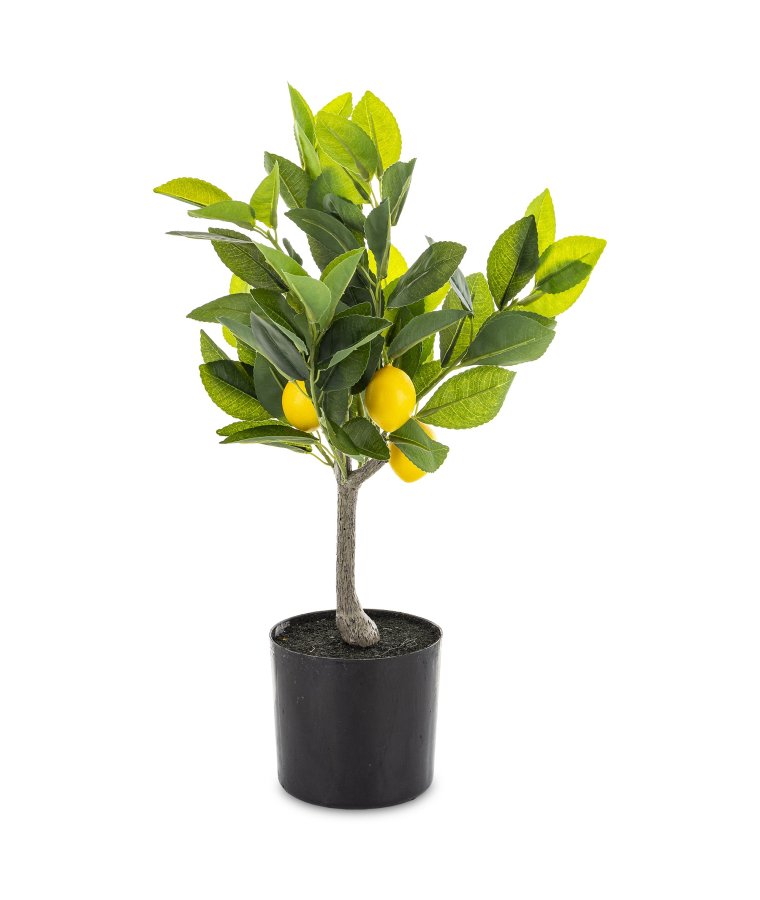 Sztuczne Drzewko Cytrusowe