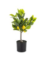 Sztuczne Drzewko Cytrusowe