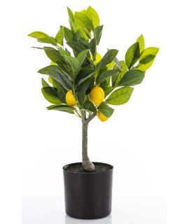Sztuczne Drzewko Cytrusowe