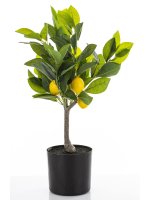 Sztuczne Drzewko Cytrusowe
