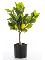 Sztuczne Drzewko Cytrusowe