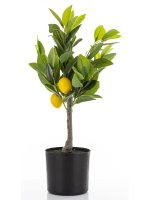 Sztuczne Drzewko Cytrusowe