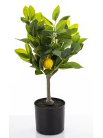 Sztuczne Drzewko Cytrusowe