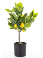 Sztuczne Drzewko Cytrusowe