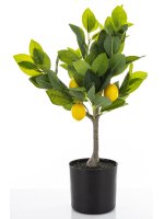 Sztuczne Drzewko Cytrusowe