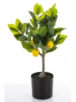 Sztuczne Drzewko Cytrusowe