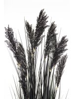 Roślina Dekoracyjna