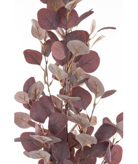 Roślina Dekoracyjna