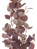 Roślina Dekoracyjna