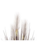 Roślina Dekoracyjna