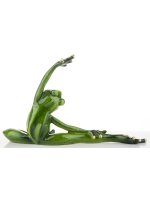 Figurka Żaba